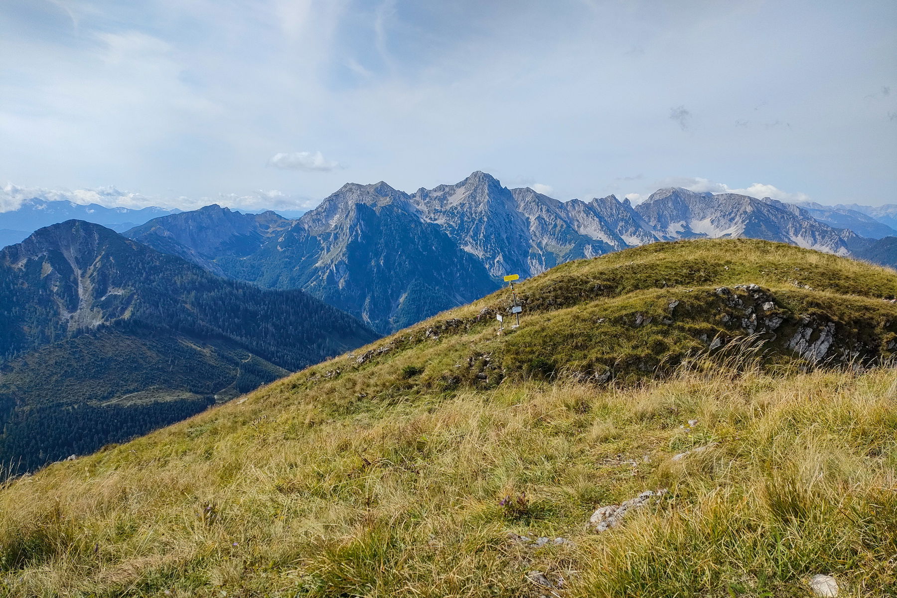 Umi-Blicke von der Admonter Höhe Richtung Buchsteingruppe und zu den Haller Mauern. Nah-Blick zum Kranzenzian mit Owi-Blick nach St. Gallen. Fotos: Manfred Hinteregger