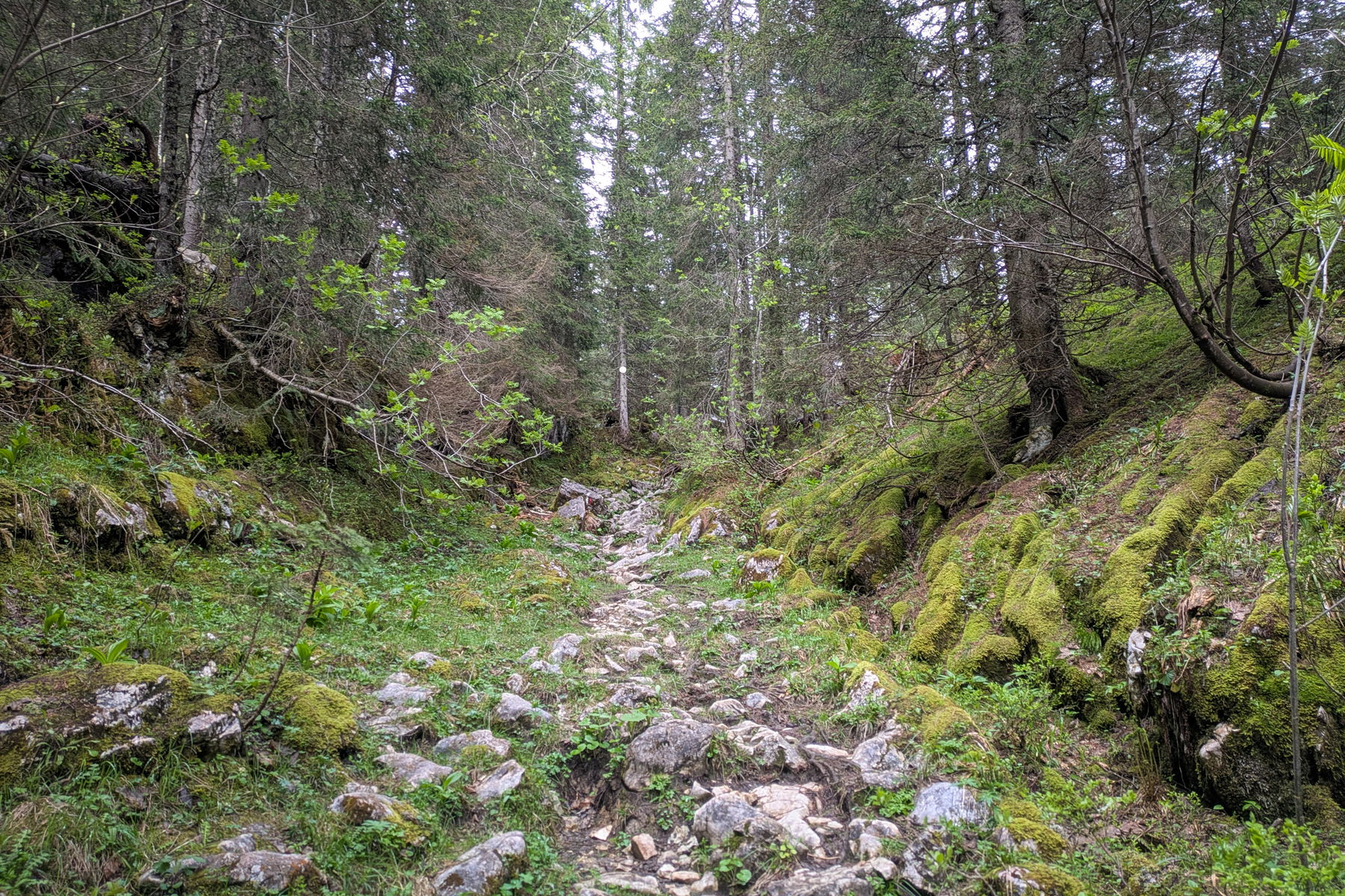 Zwischendurch kann es auch mal etwas “blockig” werden. Foto: Anna, POW AT