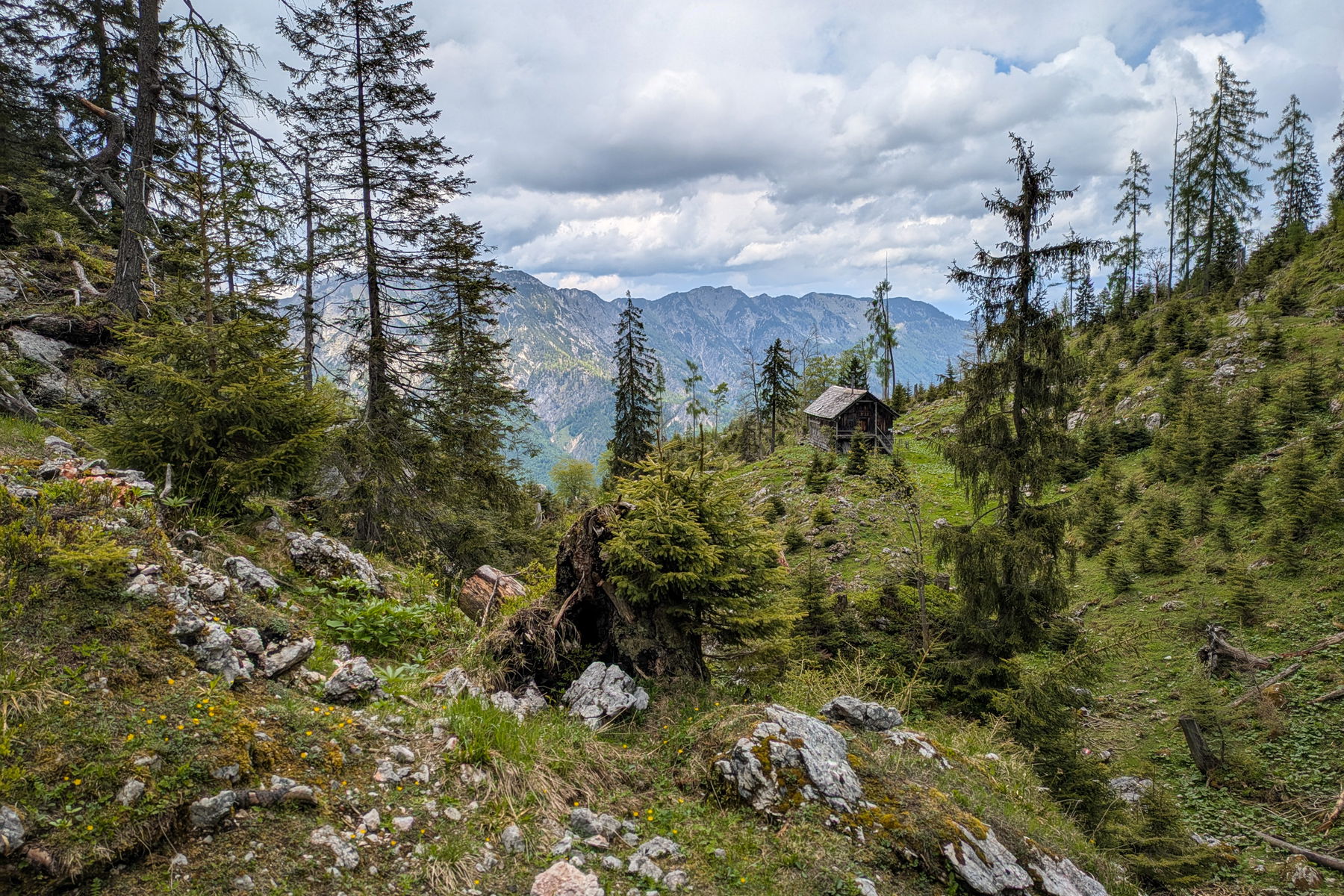 Die idyllisch gelegene Knallalm. Foto: Anna, POW AT
