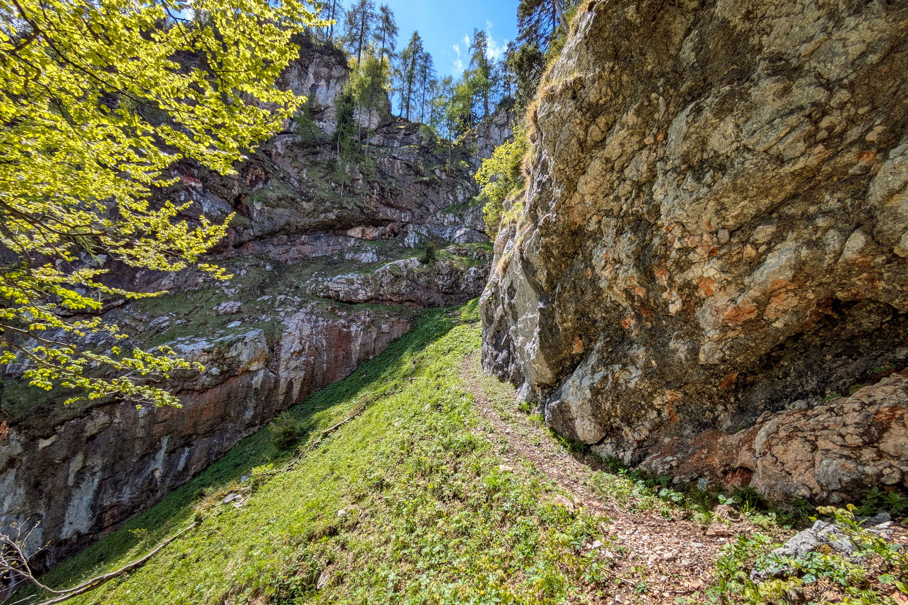 Die Wegqualität im Steilstück nach der Knallalm hat durch Windwurf etwas gelitten, ist aber gut passierbar. Das plötzliche Aufreißen der Wolken macht den Aufstieg um einiges schöner! Foto: Anna, POW AT