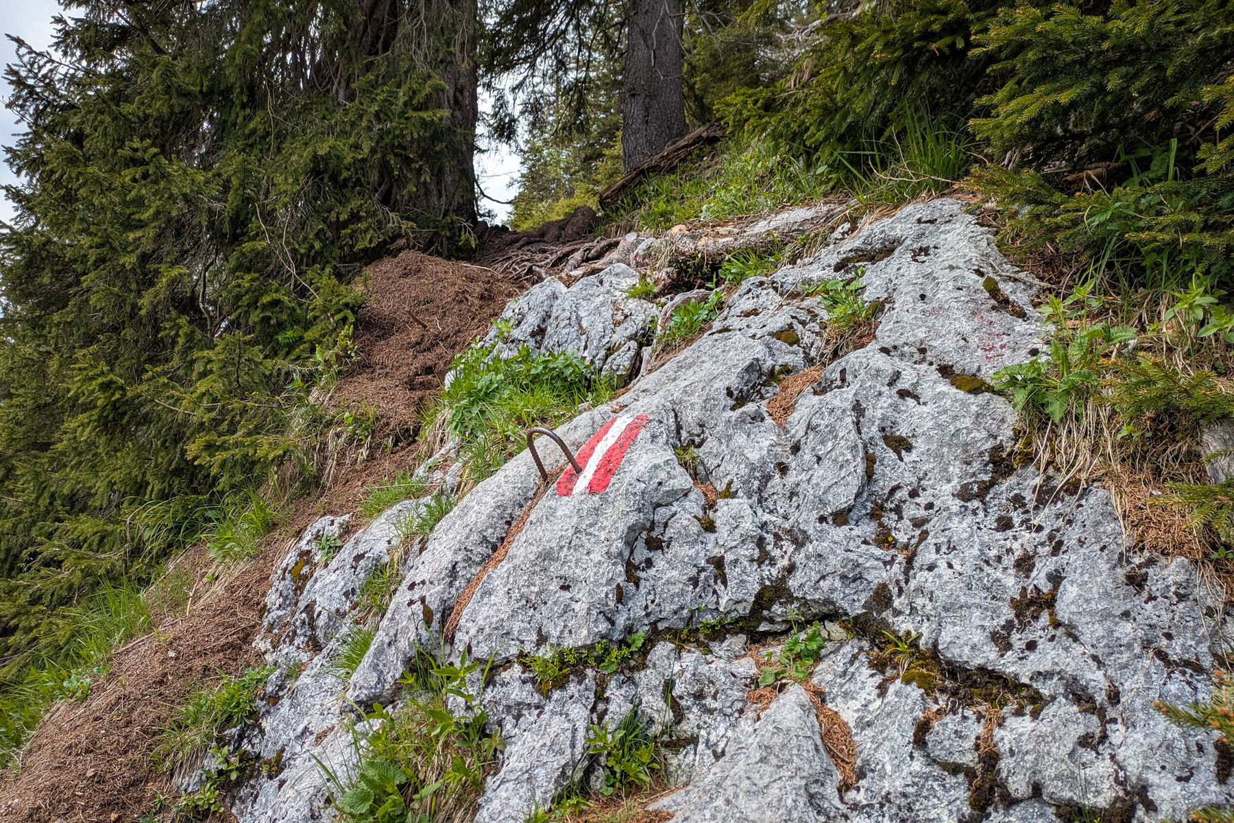 Der lange Grat, das aussichtsreiche und technisch anspruchsvolle Highlight der Gamsfeld-Überschreitung. Foto: Anna, POW AT