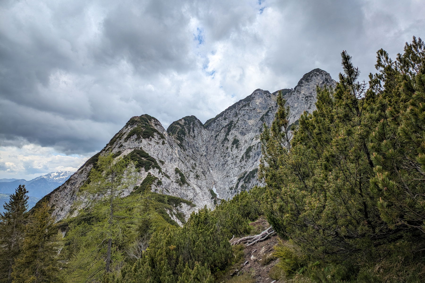 Der lange Grat, das aussichtsreiche und technisch anspruchsvolle Highlight der Gamsfeld-Überschreitung. Foto: Anna, POW AT