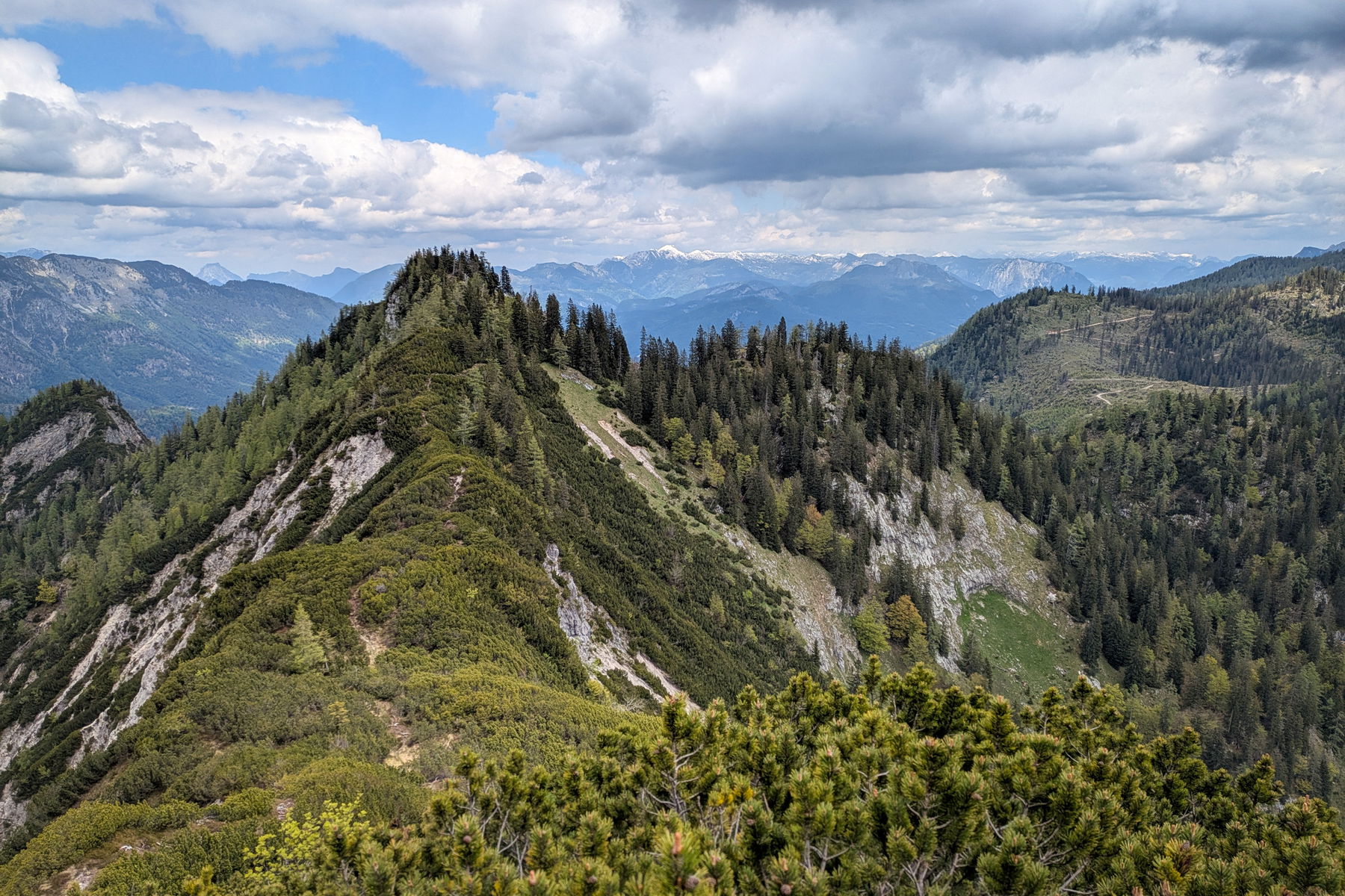 Der lange Grat, das aussichtsreiche und technisch anspruchsvolle Highlight der Gamsfeld-Überschreitung. Foto: Anna, POW AT
