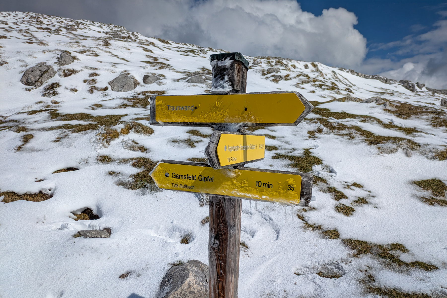 Im Gegensatz zu diesem Schilderbaum sind wir an diesem Tag zum Glück nicht zu Eiszapfen geworden. Foto: Anna, POW AT
