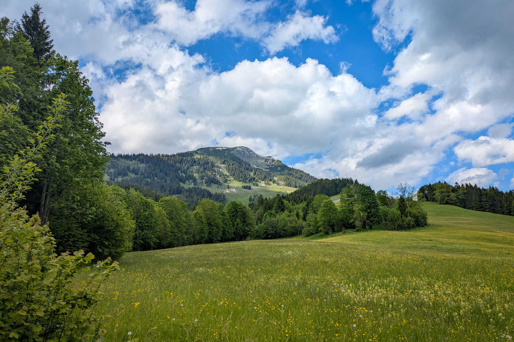Ein letzter Blick zurück auf das Gamsfeld. Foto: Anna, POW AT