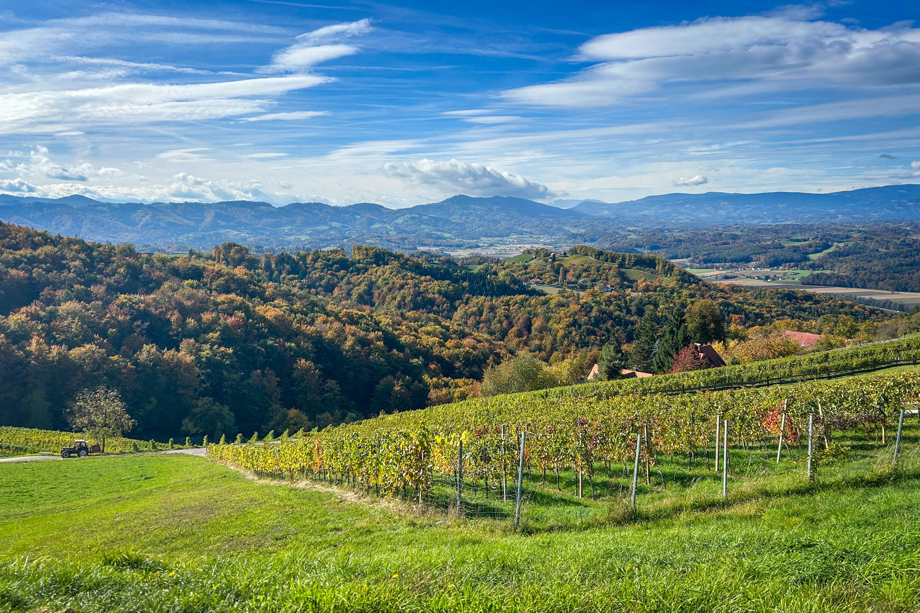 Blick auf die südsteirische Hügellandschaft Richtung Slowenien. Foto: David Kurz