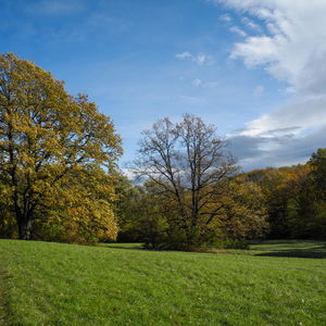 Goldener Herbst im Gütenbachtal