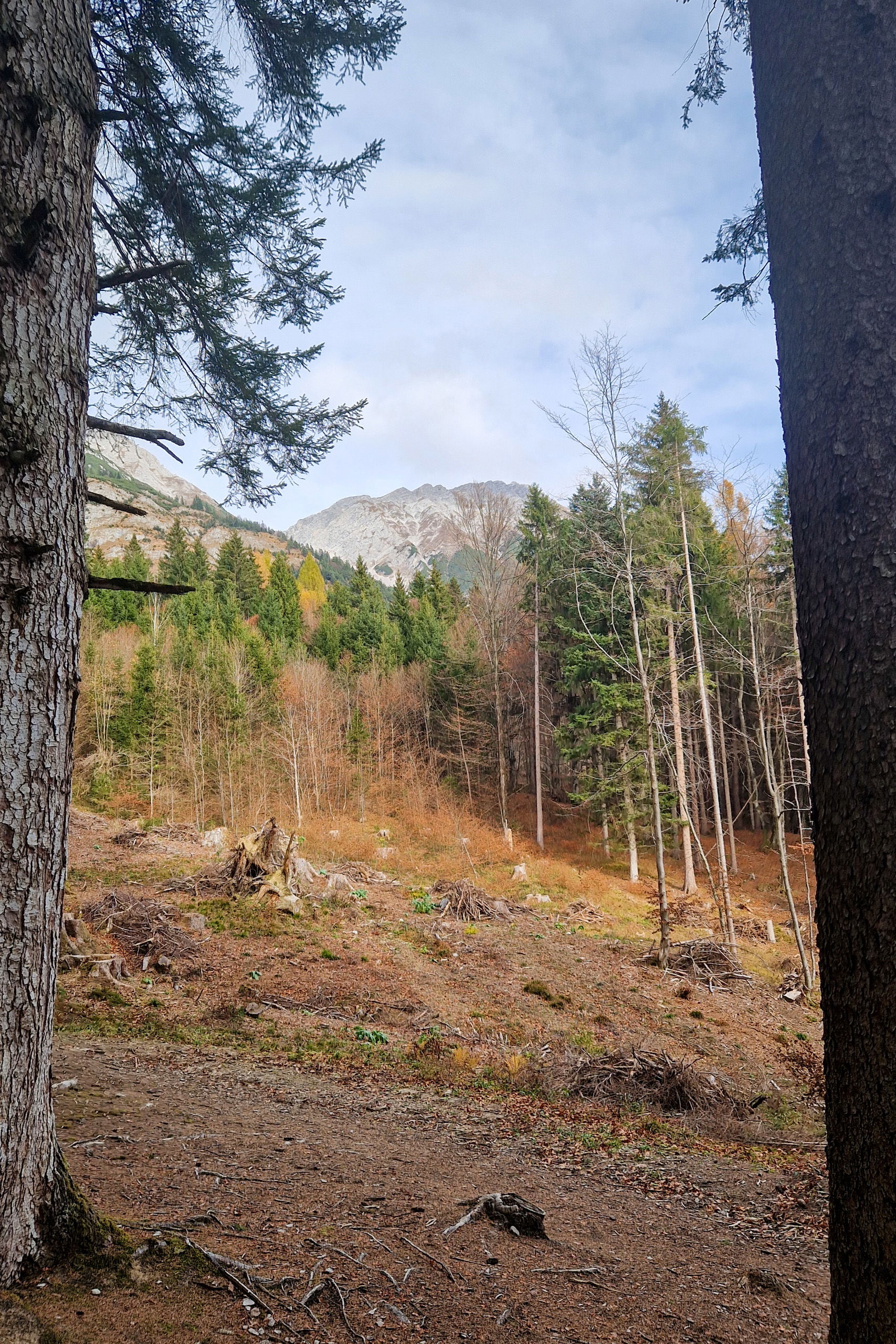 Arzler Steig. Fotos: Markus Büchler