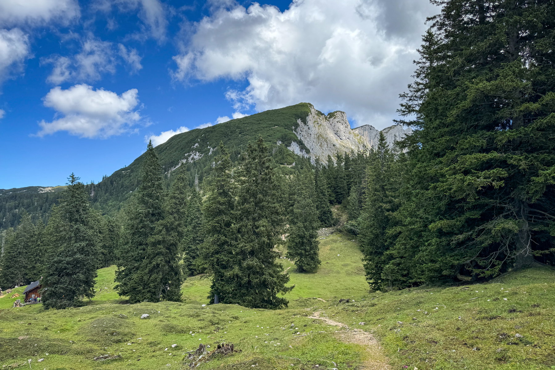 Almwiese mit Blick auf das, was uns erwartet. Foto: Bernhard Walle