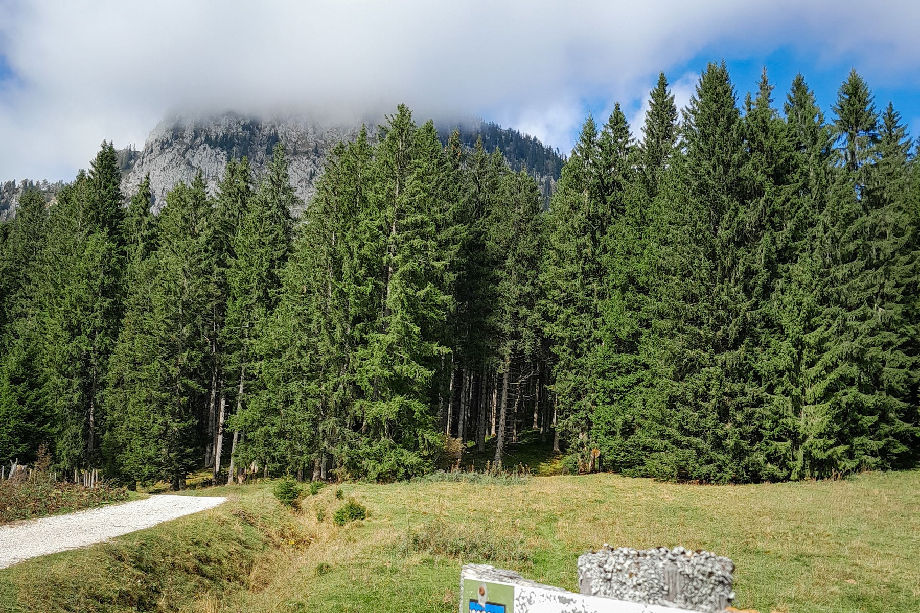 Schönmoos. Fotos: Martin Winter