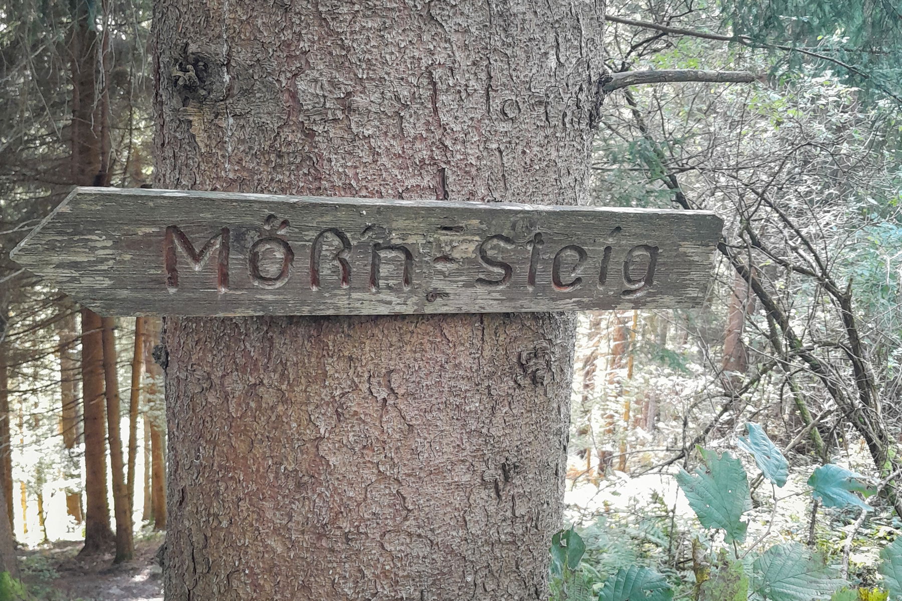 Eindrücke vom Abstieg inklusive Almabtrieb. Fotos: Martin Winter