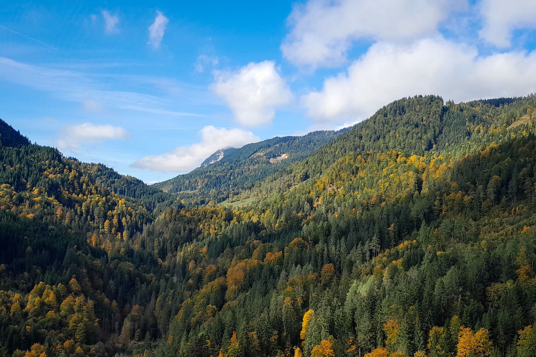 Panorama am Steig Richtung Schönmoos, der Hochtausing in Wolken. Fotos: Martin Winter