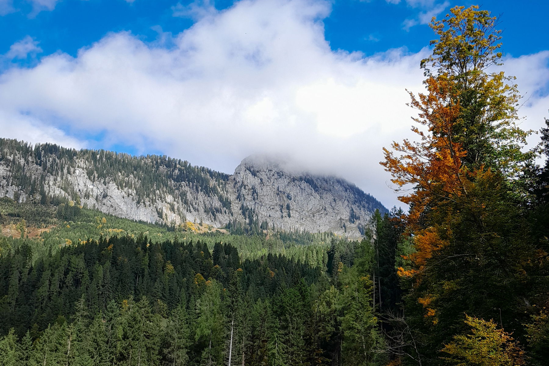 Panorama am Steig Richtung Schönmoos, der Hochtausing in Wolken. Fotos: Martin Winter