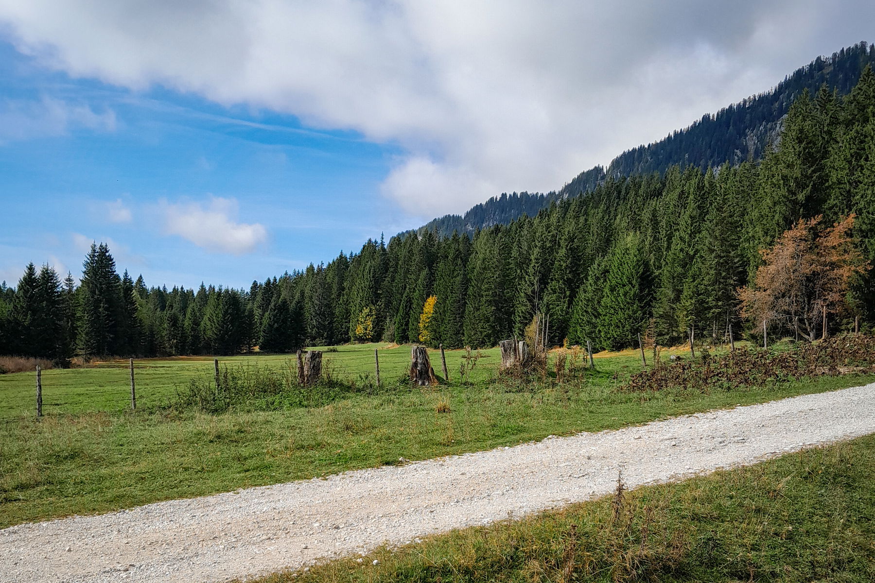 Schönmoos. Fotos: Martin Winter