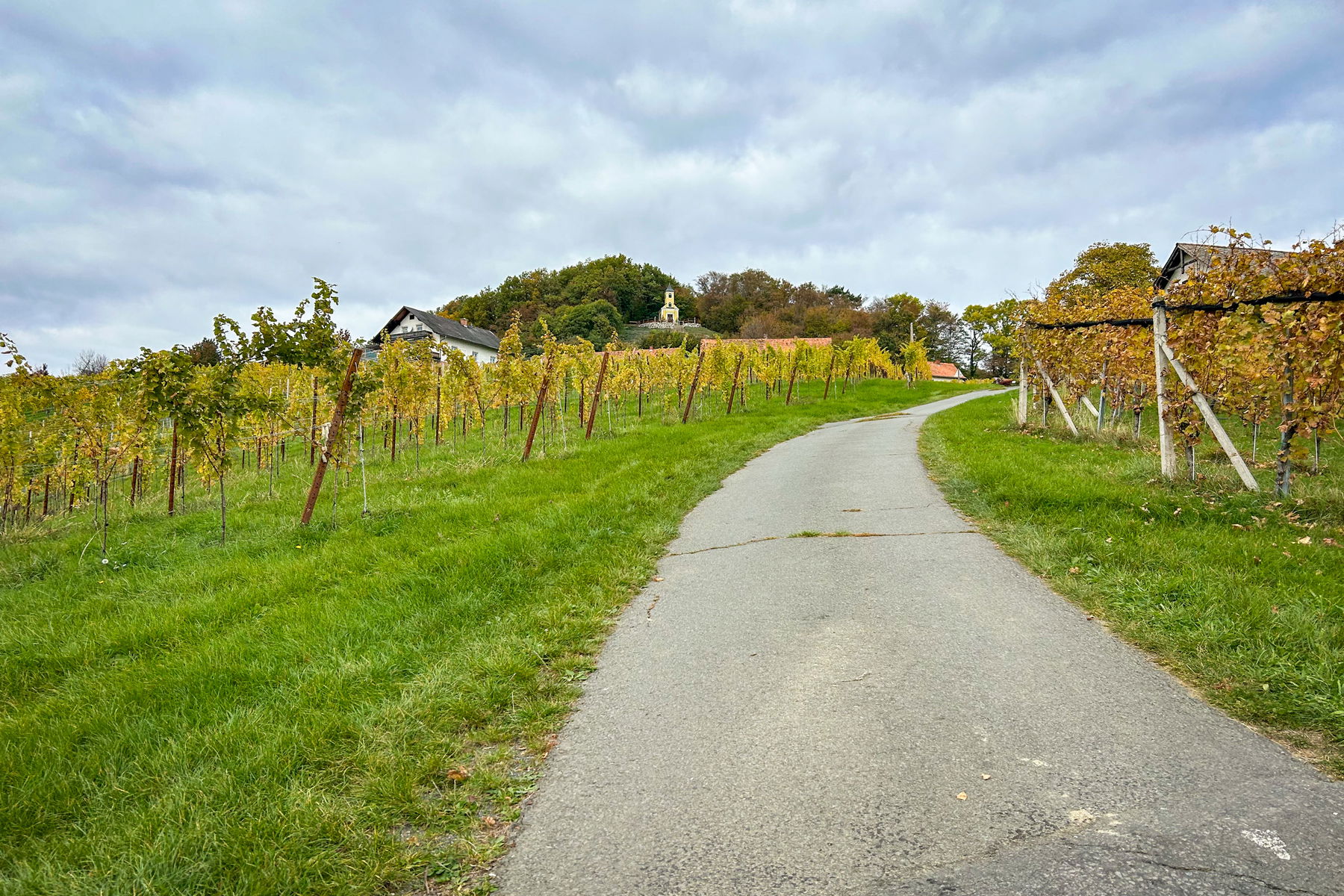 Ein herrlicher Abschnitt entlang der südsteirischen Weinberge. Foto: David Kurz