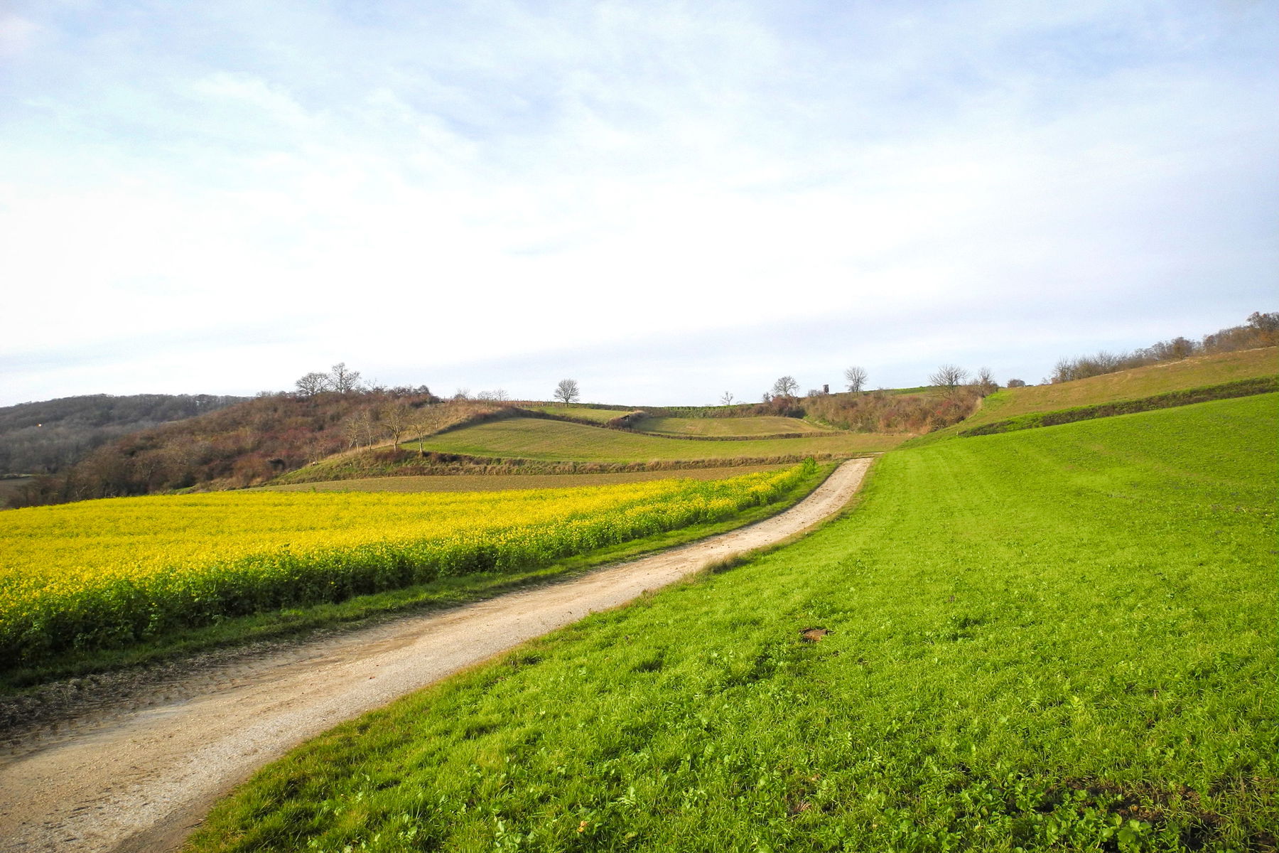 Weinviertler Jakobsweg: Von Paasdorf nach Grafensulz