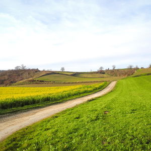Weinviertler Jakobsweg: Von Paasdorf nach Grafensulz