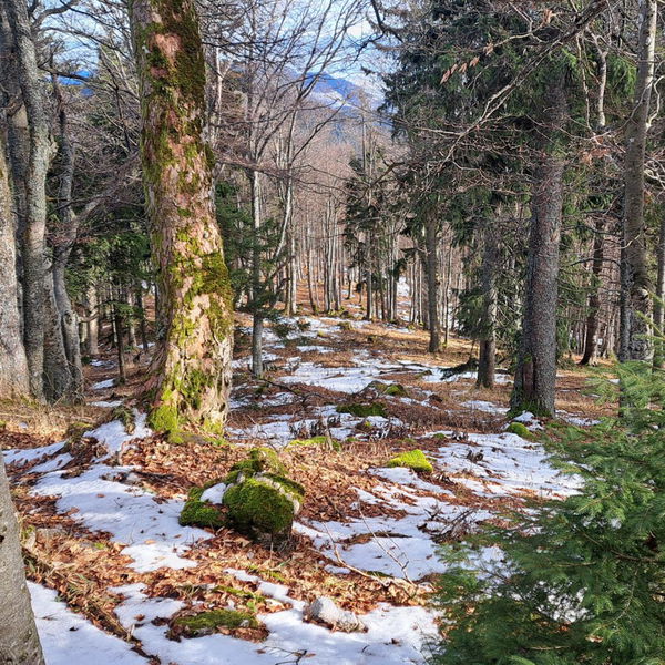 Roter Faden nach Puchberg