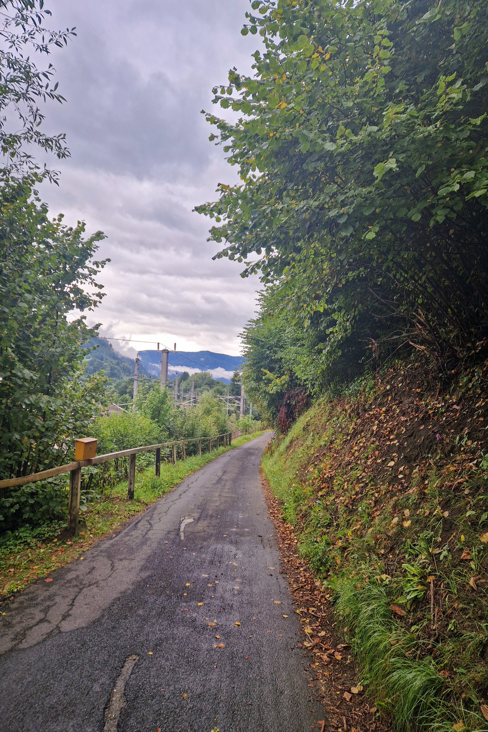 Zu Beginn der Tour folgen wir den Bahngleisen, dann auf einer Forststraße. Fotos: Toni, POW AT