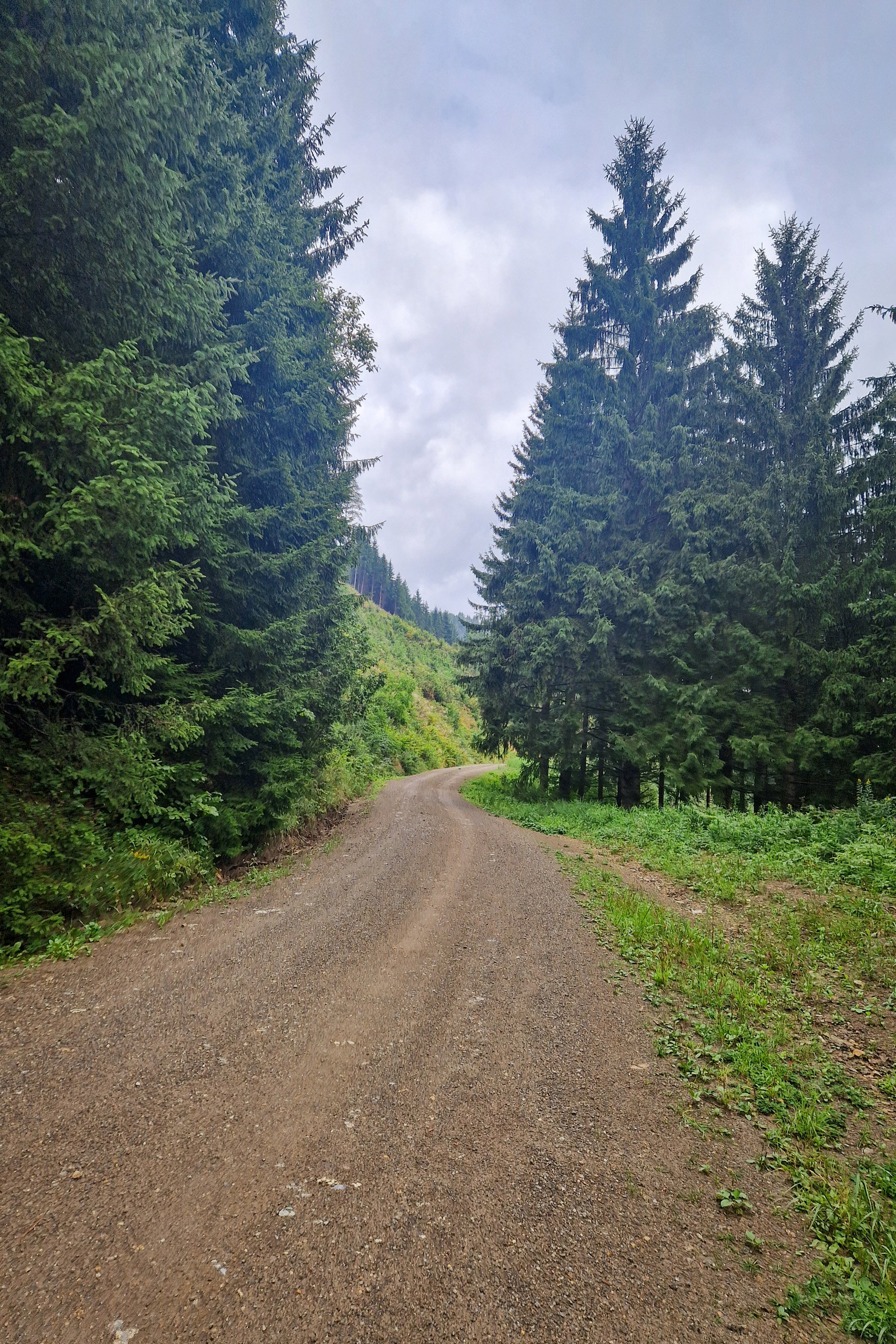 Zu Beginn der Tour folgen wir den Bahngleisen, dann auf einer Forststraße. Fotos: Toni, POW AT
