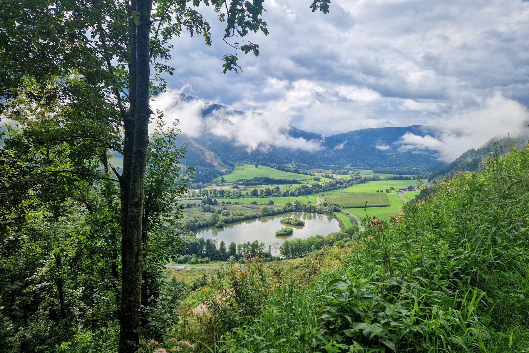 Blick hinunter zum Wallersbacher See. Foto: Toni, POW AT