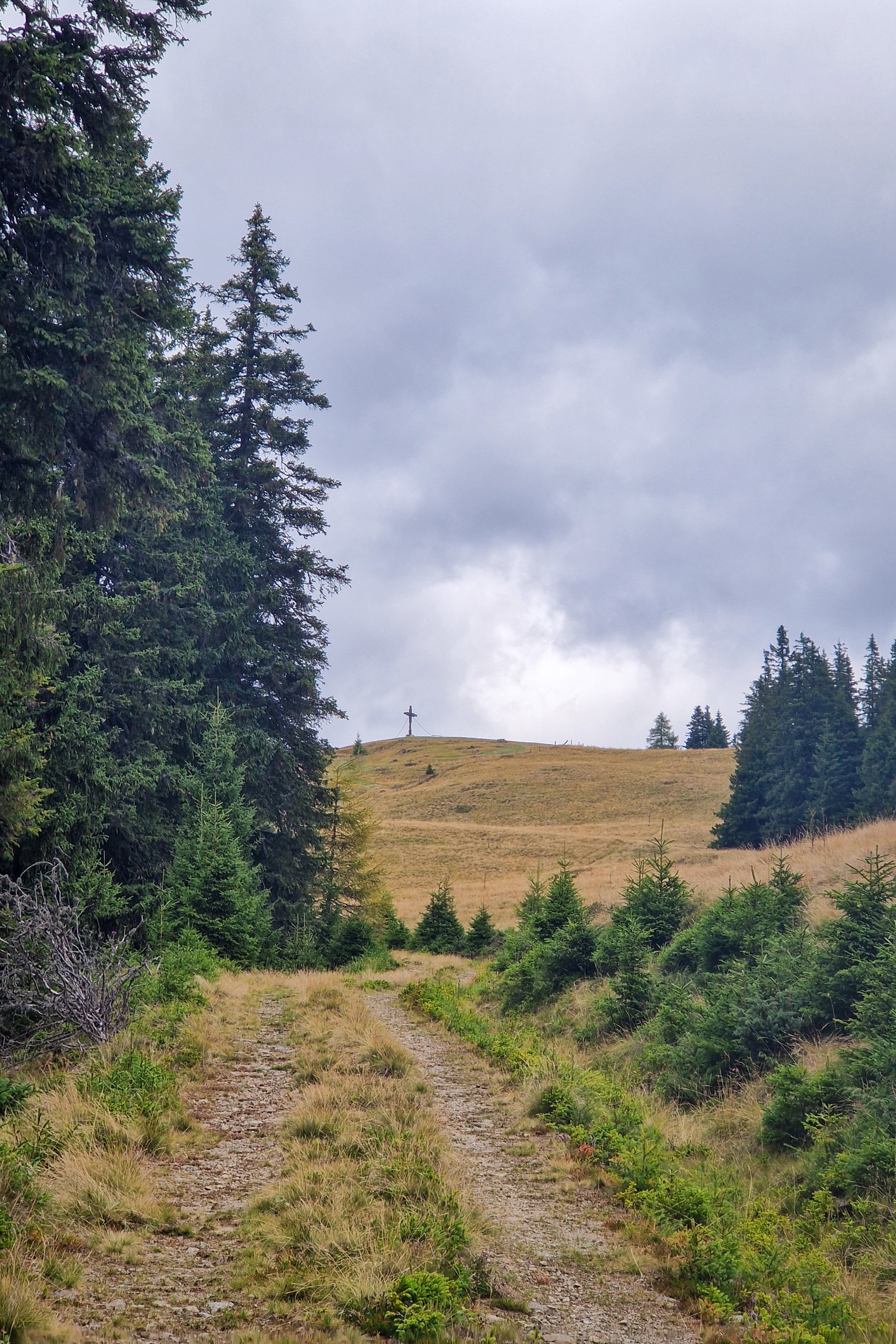 Tolle Aussicht aufs Murtal; Der Gipfel rückt näher. Fotos: Toni, POW AT