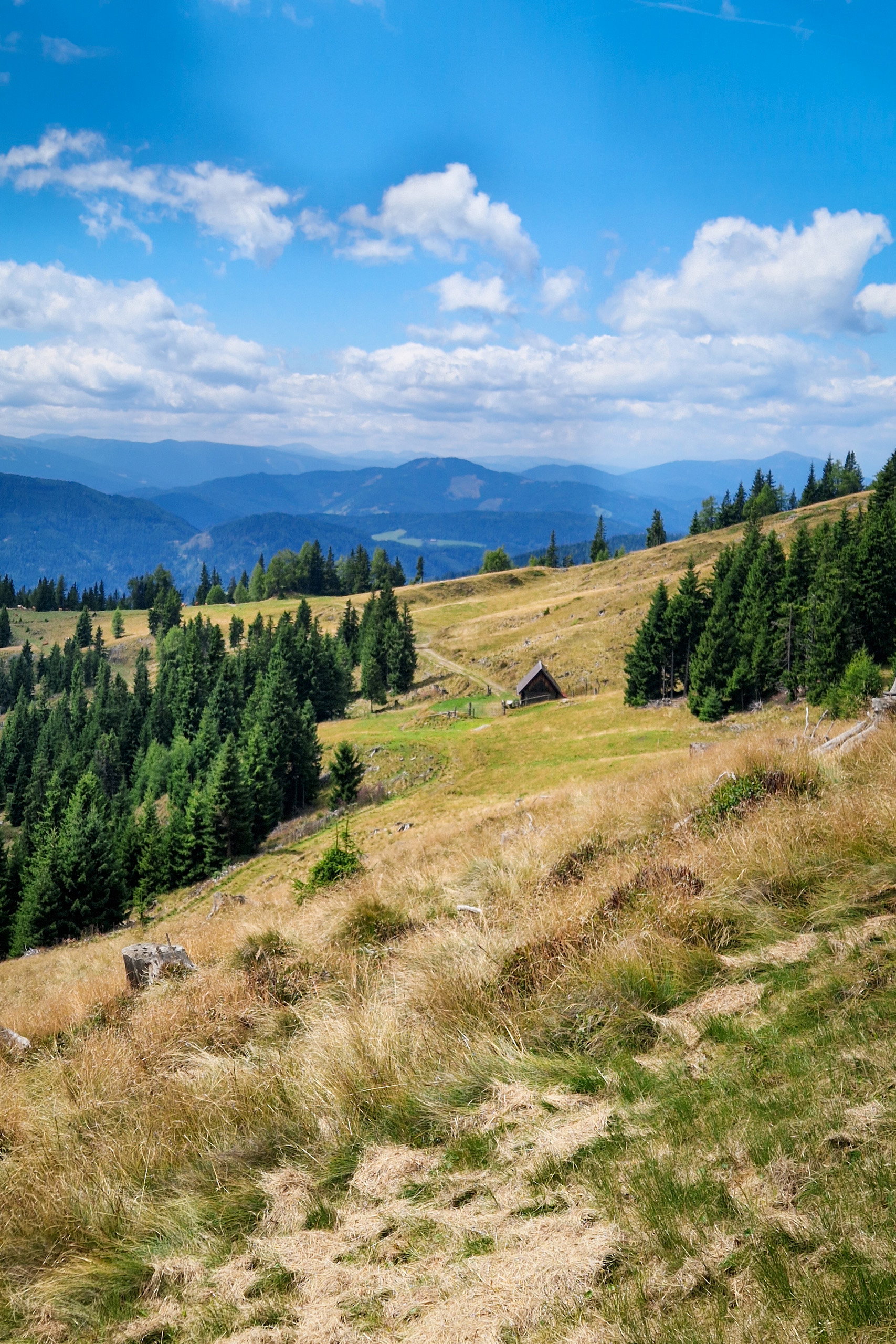 Noch ein letzter Anstieg zum Gipfel, dann haben wir es geschafft. Fotos: Toni, POW AT
