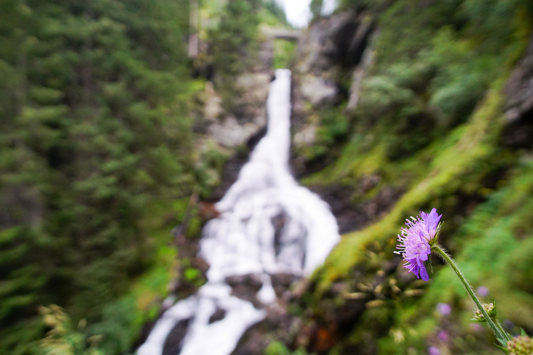 Riesachfälle: Kühles Paradies bei wildem Wasser