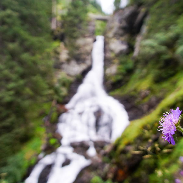 Riesachfälle: Kühles Paradies bei wildem Wasser