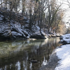 Winterwandern an der Erlauf: von Purgstall bis Mühling
