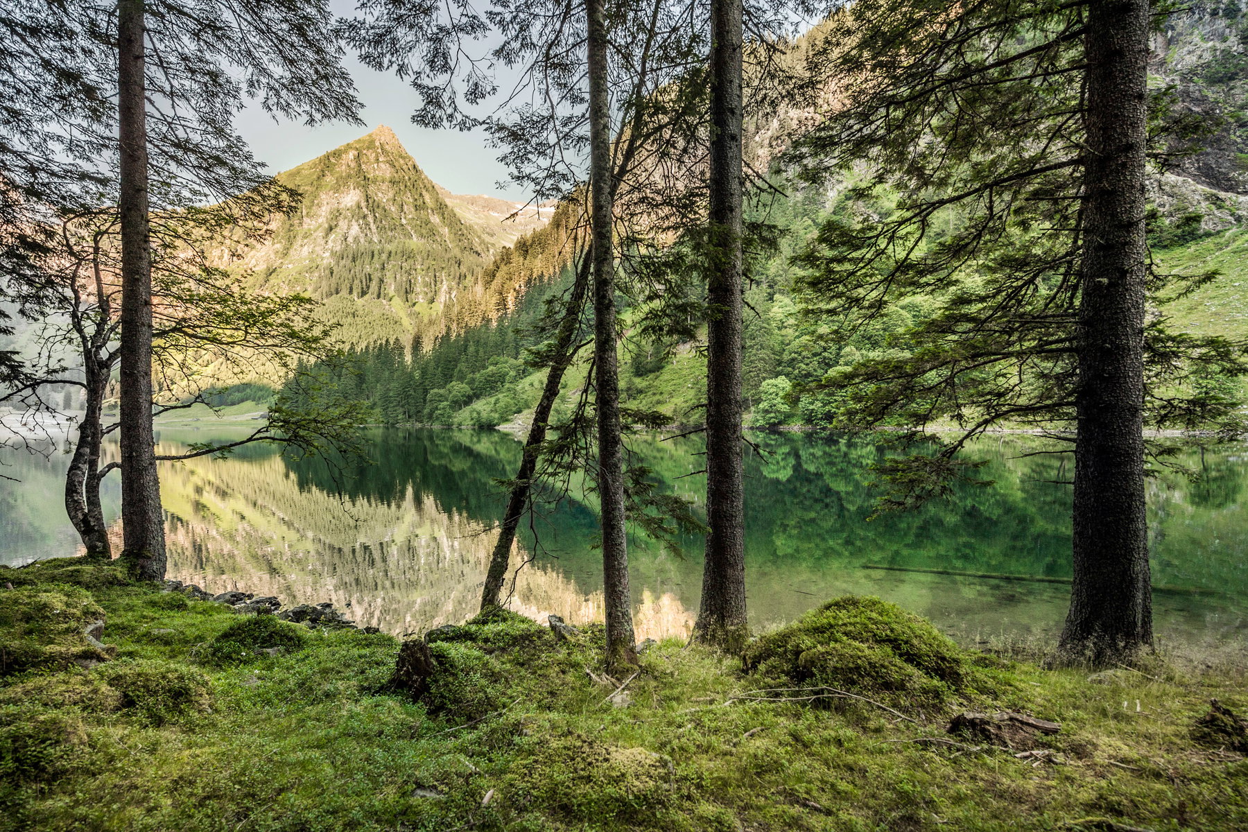 Rund um den Schwarzensee