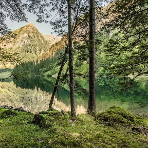 Rund um den Schwarzensee