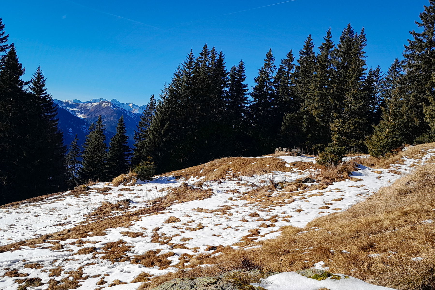Wanderung von Wald am Schoberpass über die Brunnebenalm nach Kalwang