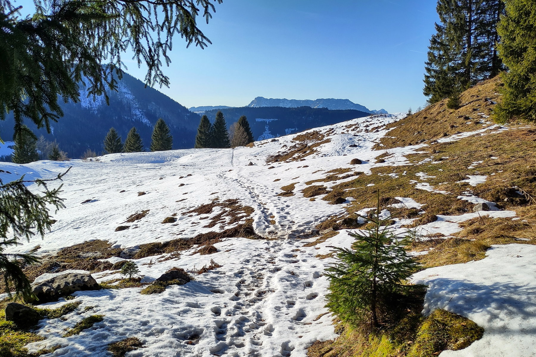 Beim Lasserbauer - Untersbergblick. Foto: Karl Plohovich