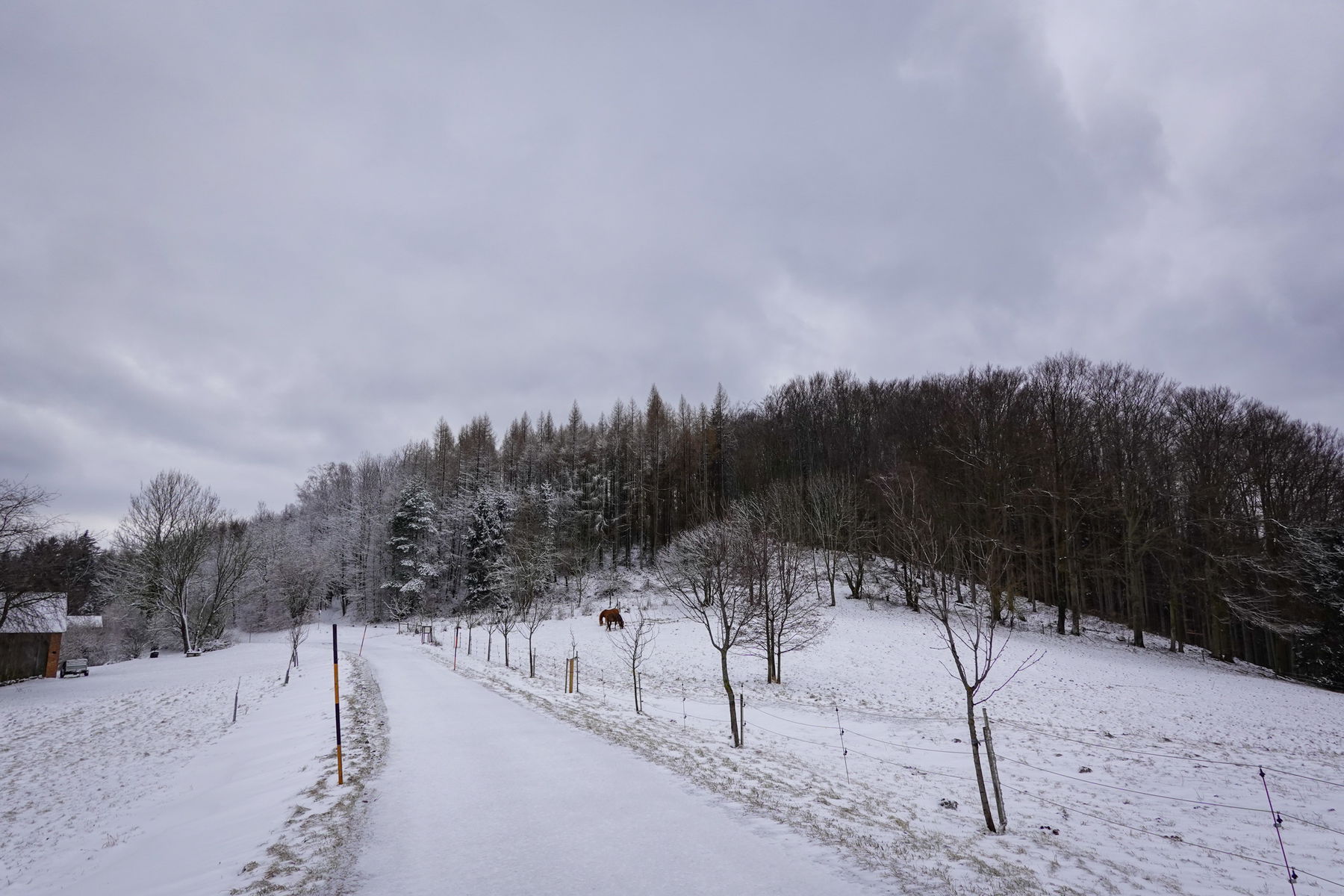 Kleine Pfalzbergrunde: Von Pressbaum zur Wienflussquelle am Kaiserbrunnberg