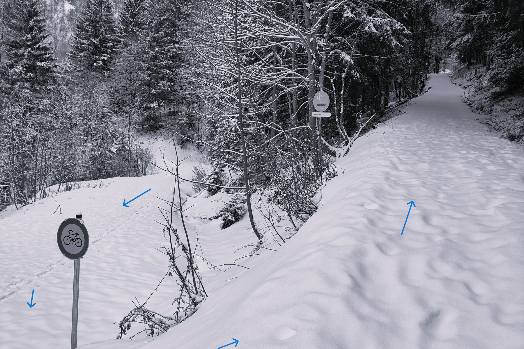 Vom Radfahrverbot auf die Radroute (aber es ist schlecht geräumt…). Foto: Karl Plohovich