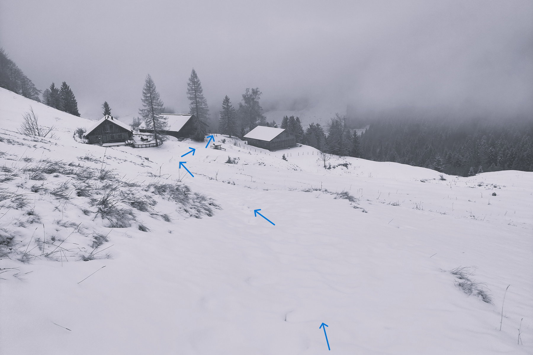 Zisterbergalm – letzte Rastmöglichkeit (bis ca. 1 Std. vor der Abfahrtszeit vom Bus). Foto: Karl Plohovich