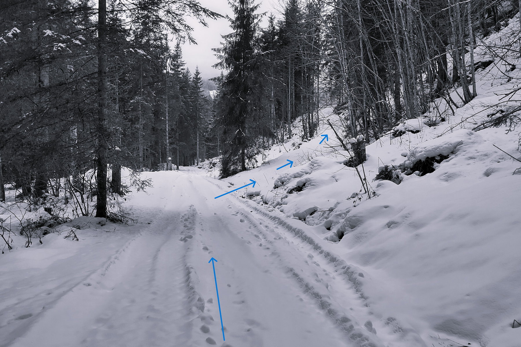 Die Abzweigung zum Finale. Foto: Karl Plohovich