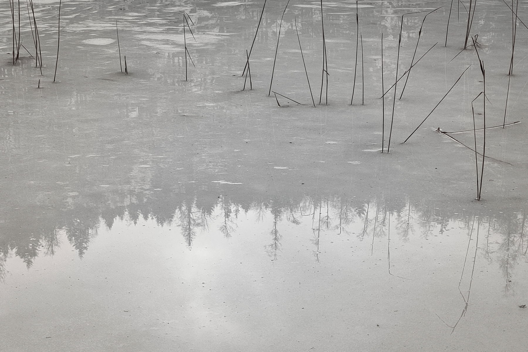 Foto: Karl Plohovich