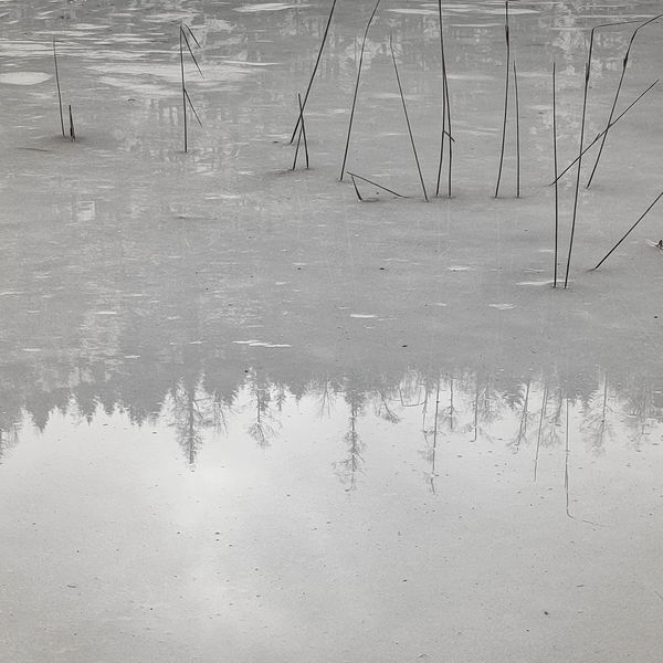 Wurzelgrat und Sonnenbad: Filbling im Februar