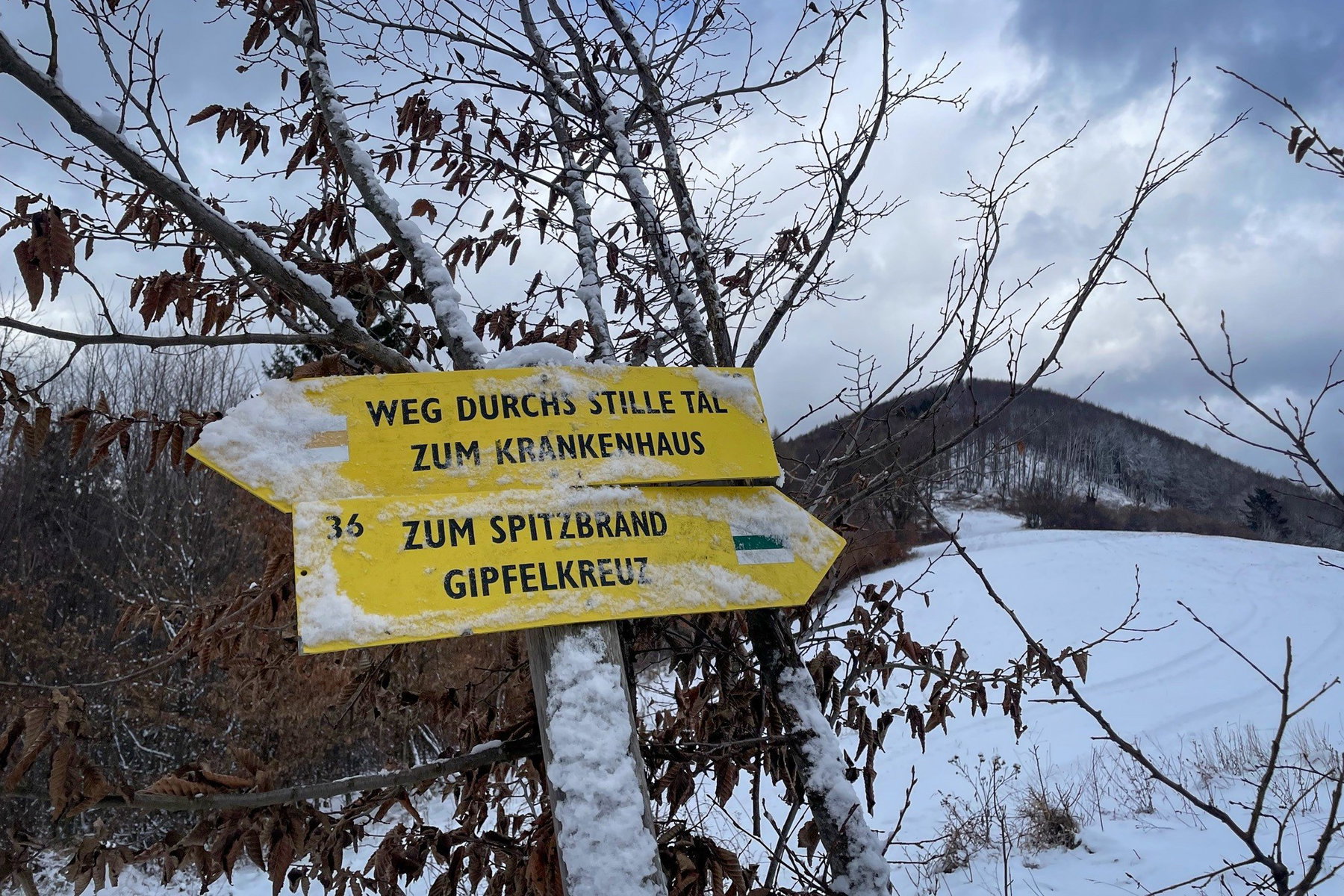Wegweiser (schnell noch vom Schnee befreit) zum Krankenhaus. Foto: Ursula Truebswasser