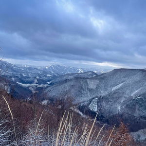 Von Freiland (nicht ganz) über den Muckenkogel nach Lilienfeld