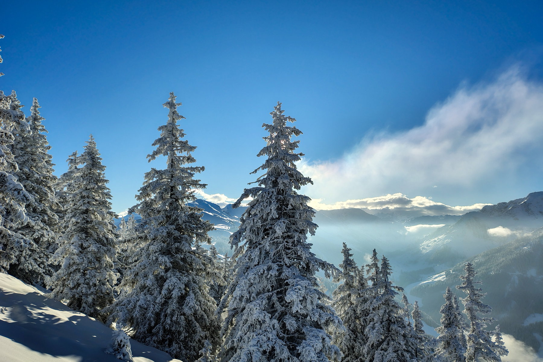 Foto: Nikolaus Vogl