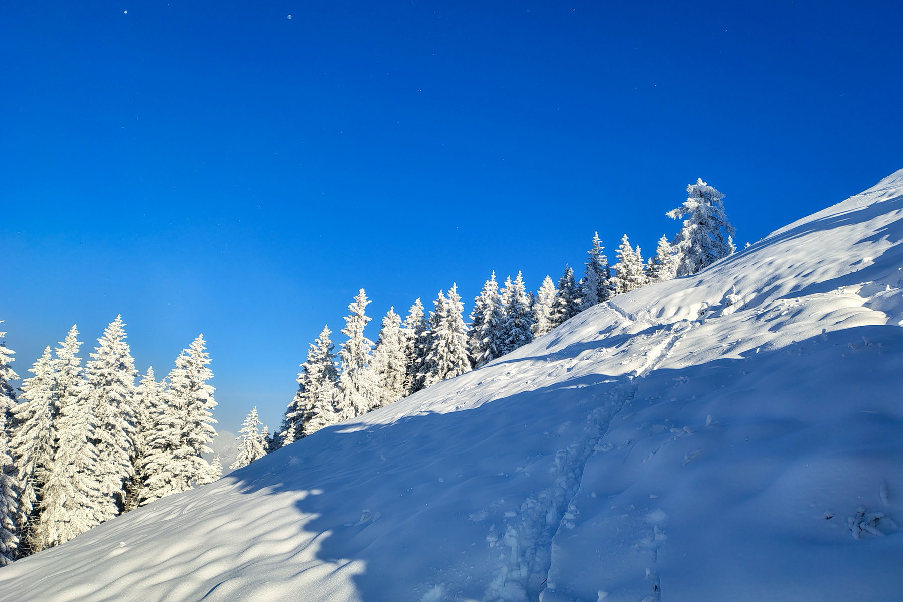 Foto: Nikolaus Vogl