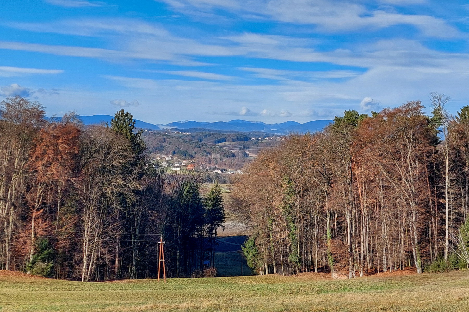 Über die Wiese bergab in den Wald, in der Ferne die Berge. Foto: Alice Frischherz