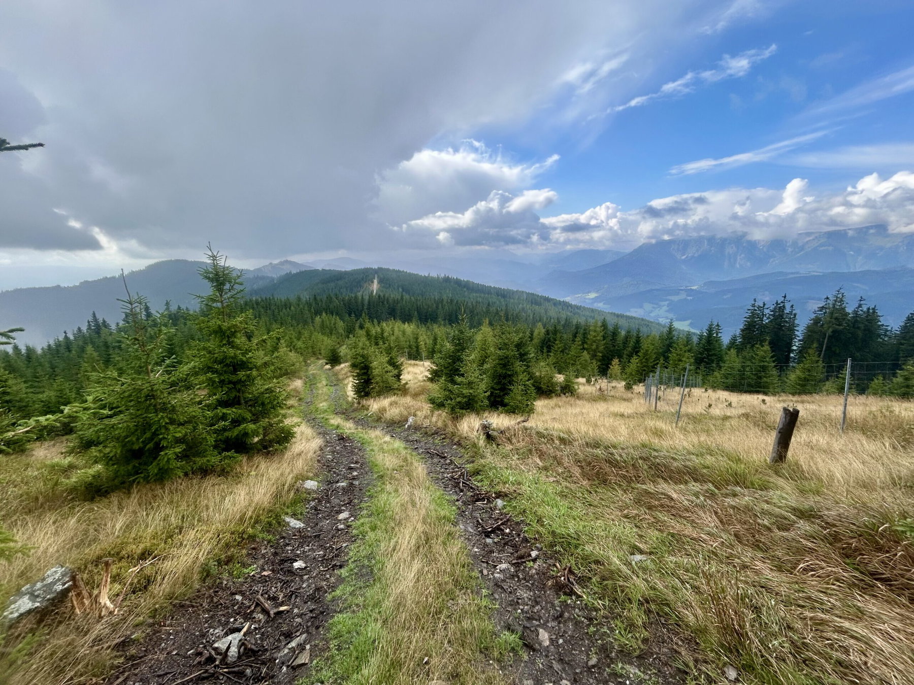 Immer geradeaus, auf Forststraßen und durch Abholzungen - Pfadfinder Gespür angesagt. Fotos Veronika Schöll