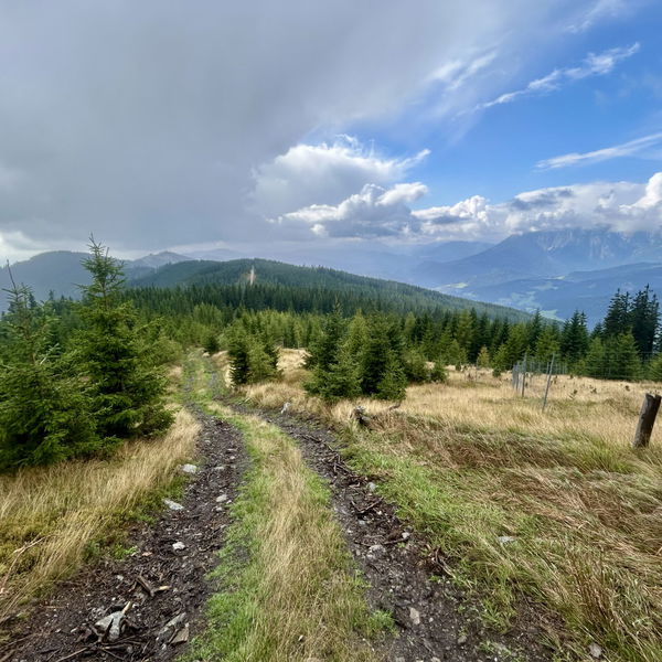 Die alpine Variante des steirischen Semmering-Bahnwanderwegs (inoffiziell)