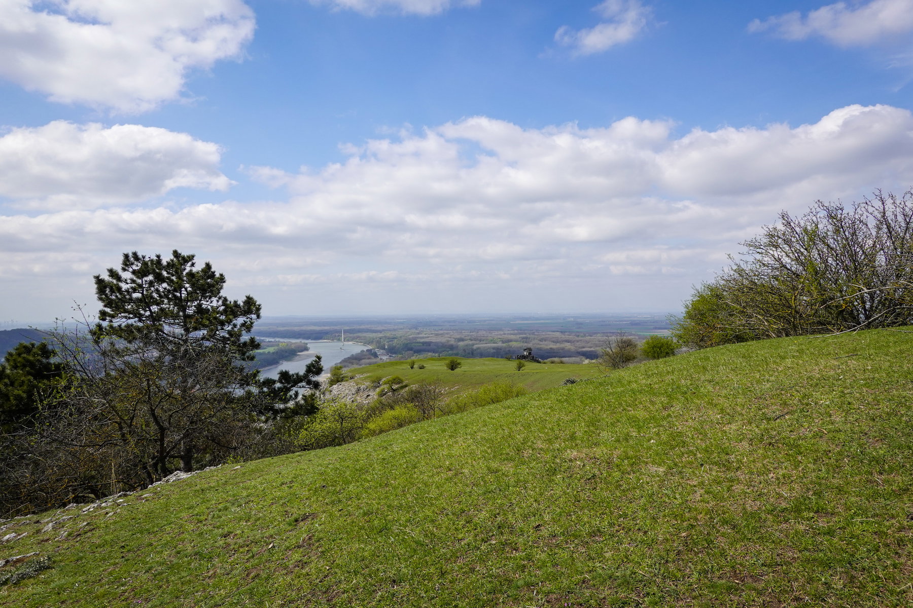 Rund um den Braunsberg