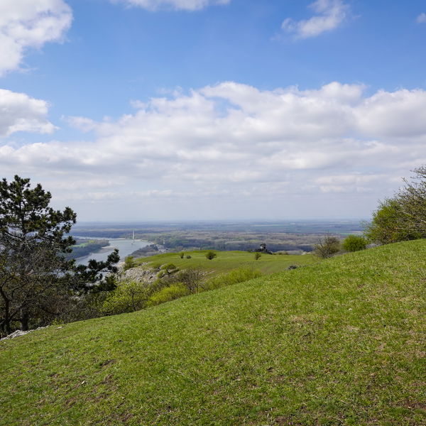 Rund um den Braunsberg