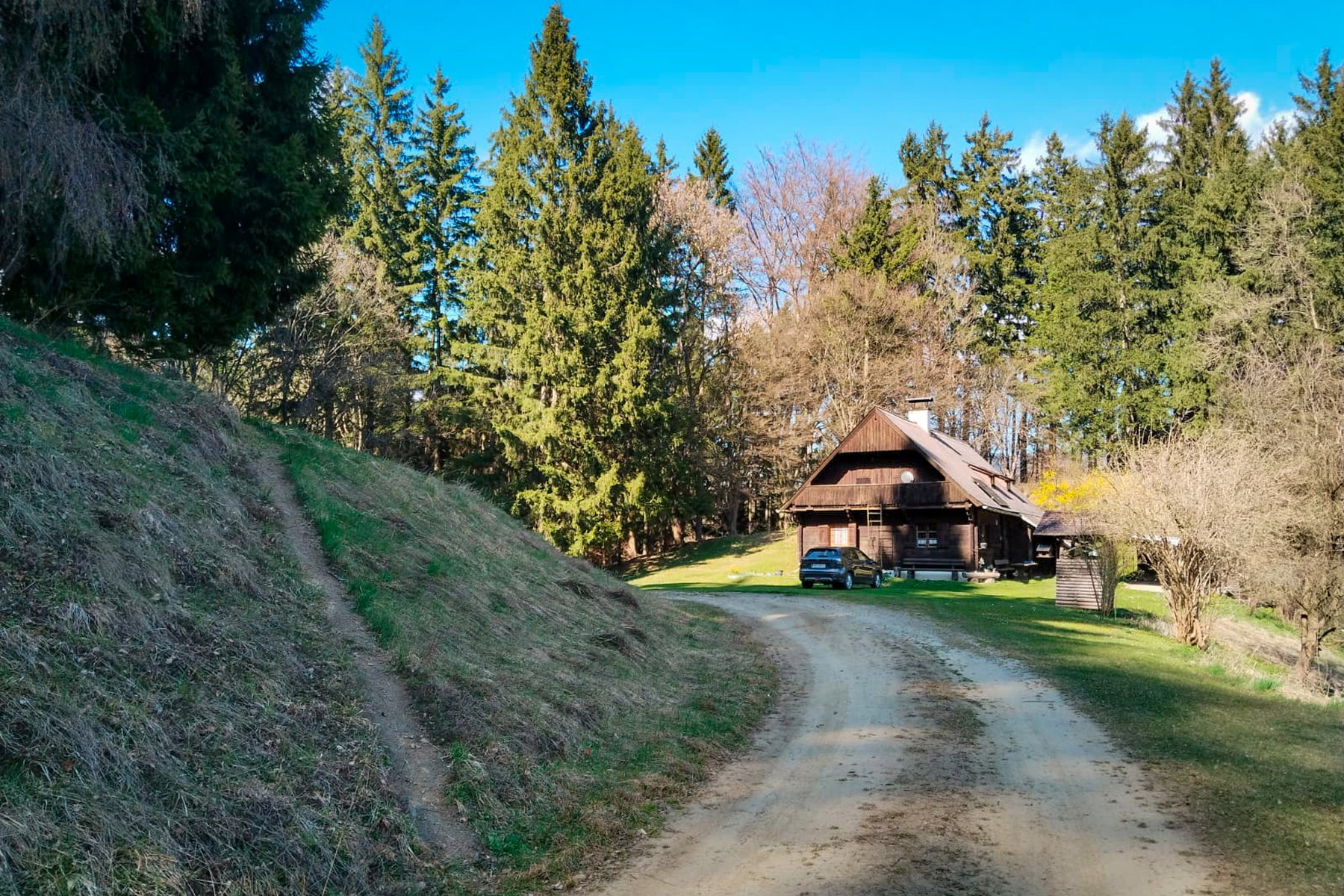 Hier vor der Hütte führt der Weg wieder von der Forststraße in den Wald hinein. Foto: Tobias Brugger